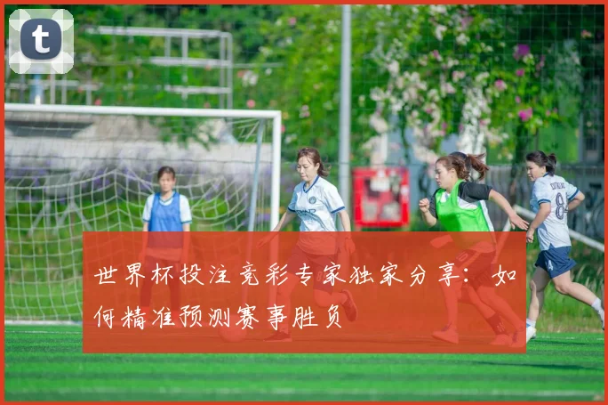 世界杯投注竞彩专家独家分享：如何精准预测赛事胜负
