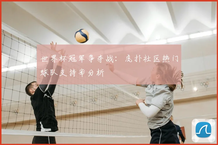世界杯冠军争夺战:虎扑社区热门球队支持率分析