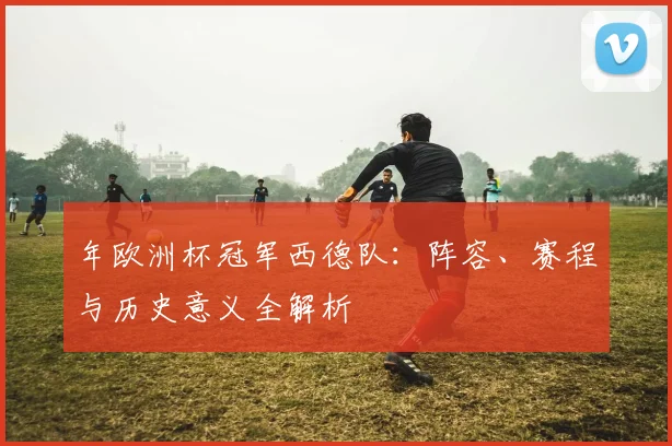 年欧洲杯冠军西德队:阵容、赛程与历史意义全解析
